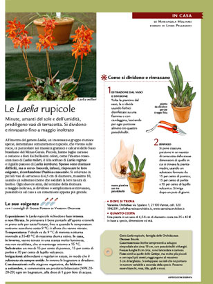 blog-thumb
