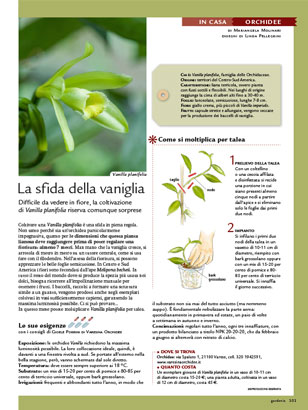 blog-thumb