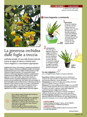 blog-thumb