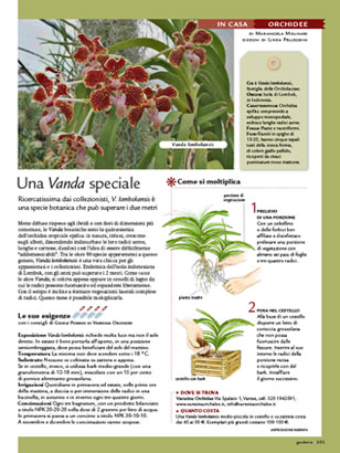 blog-thumb